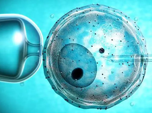 囊胚双胎的几率大吗？放2个囊胚的成功率是否高很多？