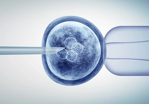 移植襄胚和鲜胚哪个成功率高？三种移植方式的优劣？