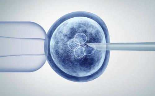 试管移植后第五天有什么症状?冷冻胚胎可以存活多久?
