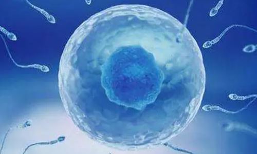 二级胚胎移植成功率高吗?一级二级胚胎同时移植双胎成功率高吗?